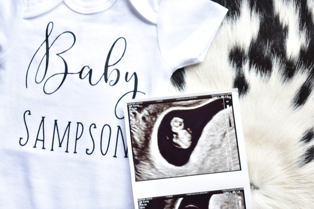 First Trimester Update | Pregnancy Update