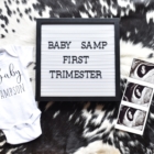 First Trimester Update | Pregnancy Update