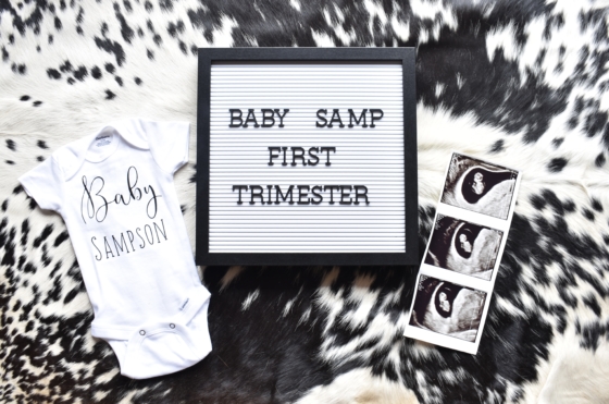 First Trimester Update | Pregnancy Update